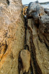 Long rockpools beside Sydney Harbour
