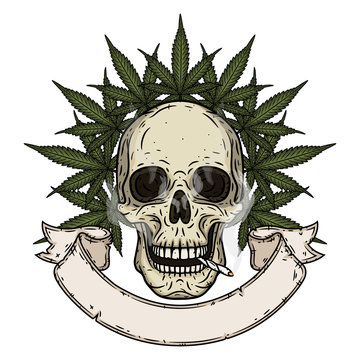 Skull. Skull with bong and marijuana leaves. Rastaman skull with cannabis leafs and spliff.