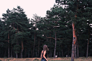 girl and the forest 