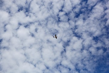 공주의무령왕릉입니다