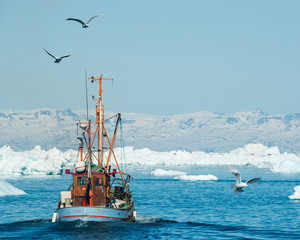 Fishing boat sailing through snowy waters with seagulls overhead, Greenland