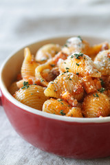 コンキリエのトマトソース添え