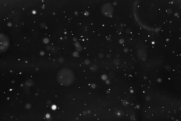 Obraz na płótnie Canvas snow black background abstract texture, snowflakes falling in the sky overlay