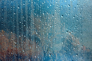 rain window autumn park branches leaves yellow / abstract autumn background, landscape in a rainy window, weather October rain