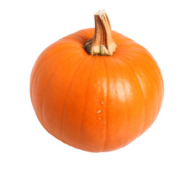 Pumpkin. Isolated on a white background.