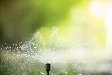 Garden Sprinkler Watering Grass. Automatic Sprinklers, Lawn Sprinkler in Action, Background Concept.