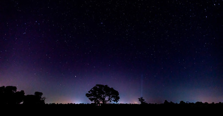 Fototapeta premium Panorama blue night sky milky way and star on dark background.Universe filled with stars, nebula and galaxy with noise and grain.Photo by long exposure and select white balance.selection focus.amazing