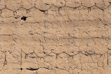 竹小舞にわら縄で編んだ昔ながらの土壁の下地部分
