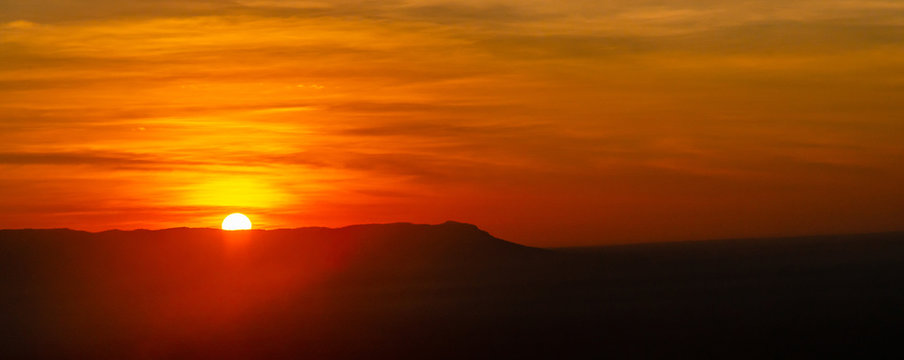 Amazing sunset and sunrise.Panorama silhouette tree in africa with sunset.Tree silhouetted against a setting sun.Dark tree on open field dramatic sunrise.Safari theme.Giraffes African.