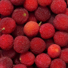 Many ripe Japanese bayberry (Yamamomo) closeup macro background