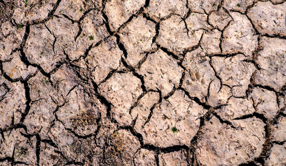 Part of a Huge Area of Dried Land Suffering from Drought - in Cracks,Detail close up of cracked soil showing dry conditions.Adjust the light with exaggerating techniques.