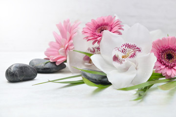 close on beautiful white orchid and pink daisies on black pebbles