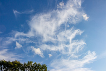 Beautiful cirrus clouds in the blue sky