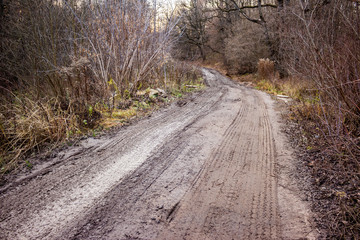 Off-road in the woods, dirty dirt road