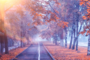 autumn landscape morning in the fog / alley in the city park, misty landscape in the city, trees in the city