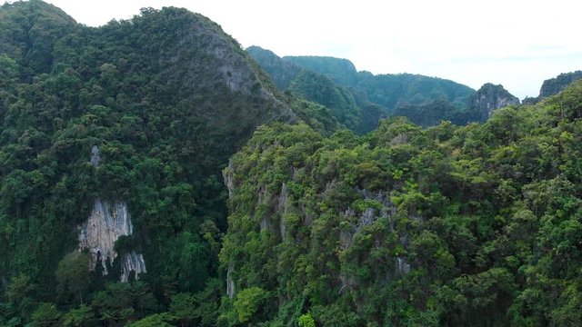 Aerial shot of jungle forest mountain top flying over