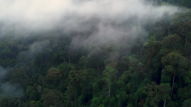 Moody and cloudy aerial view of Thailands rain forest in the morning