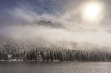 Obraz na płótnie Canvas misty winter landscape with fog