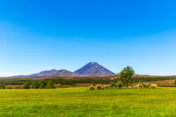 Obraz premium Tongariro National Park in New Zealand.