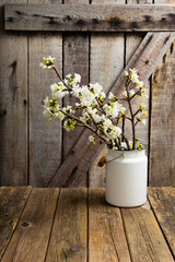 cherry flower blossom branch in enamel milk canister vase, old weathered wooden background