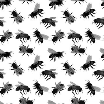 seamless pattern in monochrome gray with bee depictions, wallpaper ornament, wrapping paper