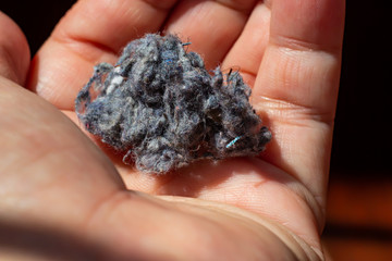 Woman's left hand holding Dust, Fluff, Remnant of clothes on laundry after removing from clothing dryer on white acrylic background, Laundry machine cleaning concept, Close up and macro shot