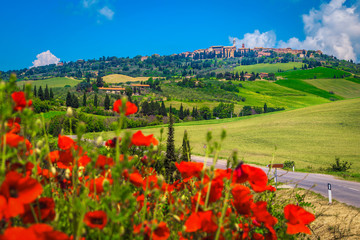 Fototapeta na wymiar Beautiful Tuscany cityscape and blooming red poppy flowers, Pienza, Italy, Europe