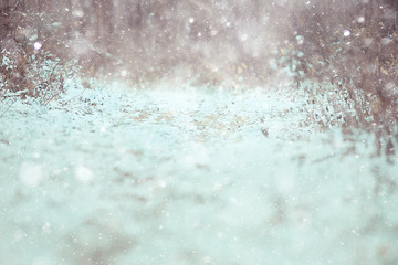 winter landscape grass snow frost, christmas white photo on the nature covered with snow