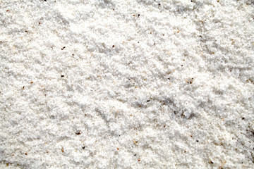 salt on the Death Sea beach in Jordan
