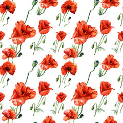 Watercolor seamless pattern of poppies, Botanical illustration.