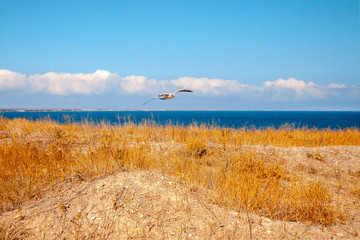 Sea nature landscape. View of the sea and Feodosia city from the mount. Crimea