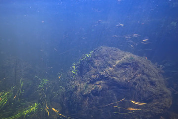 underwater mountain clear river / underwater photo in a freshwater river, fast current, air bubbles by water, underwater ecosystem landscape