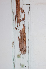 The wooden pillars used for building country houses began to decay.