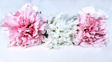 Partially blurred bouquet of pink and white flowers on a white background
