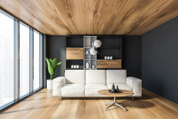 Panoramic gray living room with sofa
