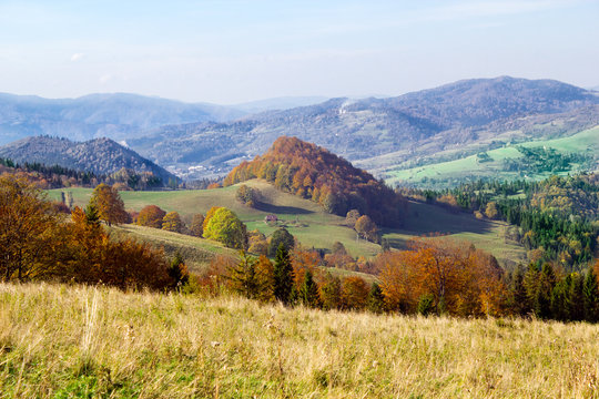 Pieniny Mountains, Polonina Kiczera. Autumn.