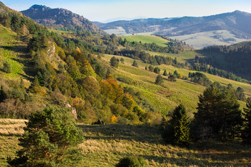 Pieniny Mountains. Autumn.  Kycera, Bystry hrb, Slovakia. - obrazy, fototapety, plakaty