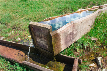 Watering trough in Beskids mountains, Poland.