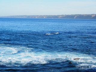 Fototapeta premium Landscape of La Jolla beach