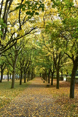 Park im Herbst