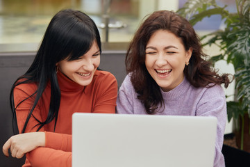 Horizontal indoor picture of cheerful attractive joyful young women laughing sincerely, sitting at table in cafeteria, looking attentively at laptop screen, being in high spirits. Friendship concept.