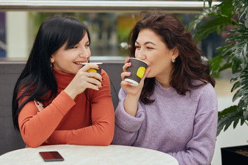 Portrait of two attractive magnetic happy best friends looking at each other, taking sip of hot...