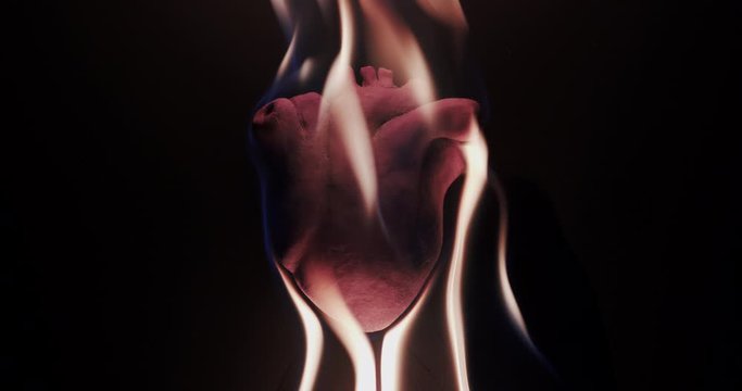 Slow motion closeup of an anatomically correct heart engulfed in flames.