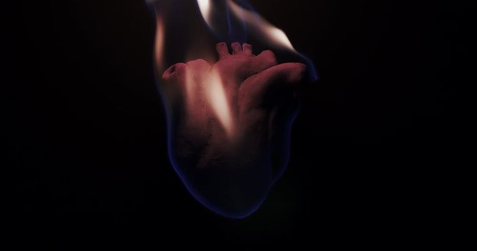 Slow motion closeup of an anatomically correct heart burning.