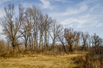 Panorama sleeve of the Danube River near Novi Sad 