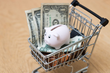 Obraz na płótnie Canvas Happy piggy bank with a shopping cart full of dollars