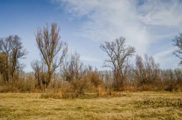 Panorama sleeve of the Danube River near Novi Sad 