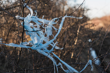 plastic bag littering the environment in the forest