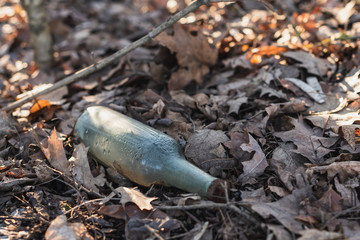glass bottle littering the environment in the forest surrounded by leaves