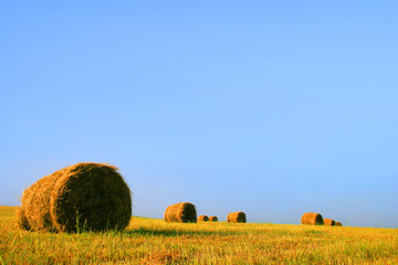 field with a roll of straw against a blue sky